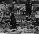 WENTZ FIELDS 1982